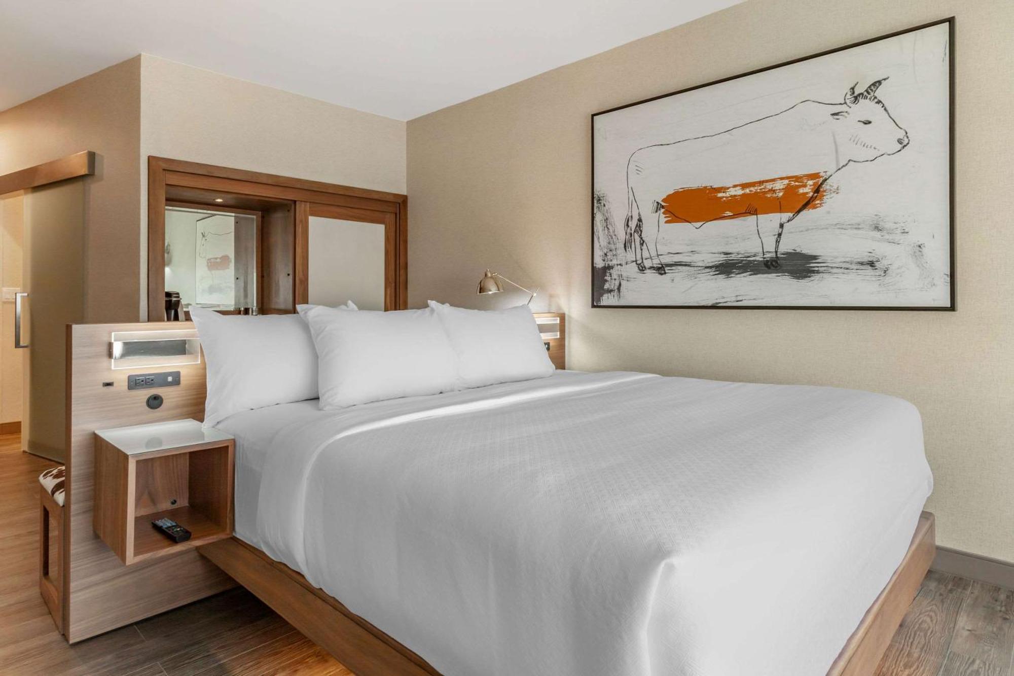 Cambria Hotel Richardson - Dallas Exterior photo